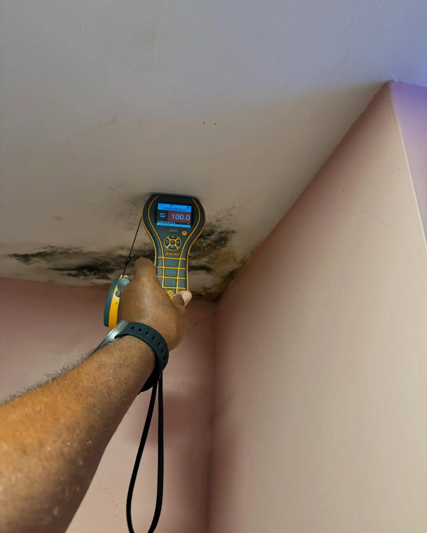 Inspector taking a moisture reading beside visible mold growth on a ceiling
