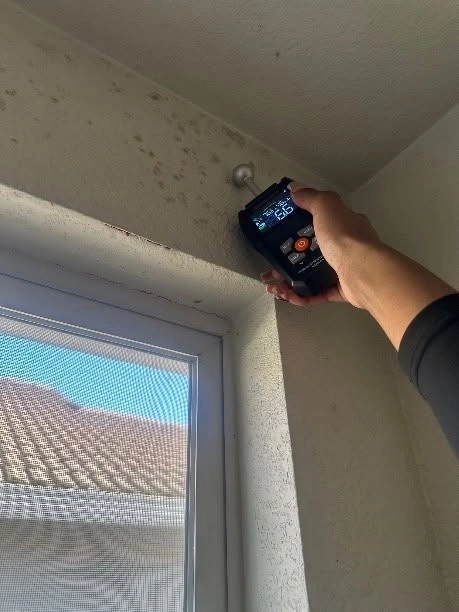 Inspector checking a mold-affected wall above a window with a handheld meter