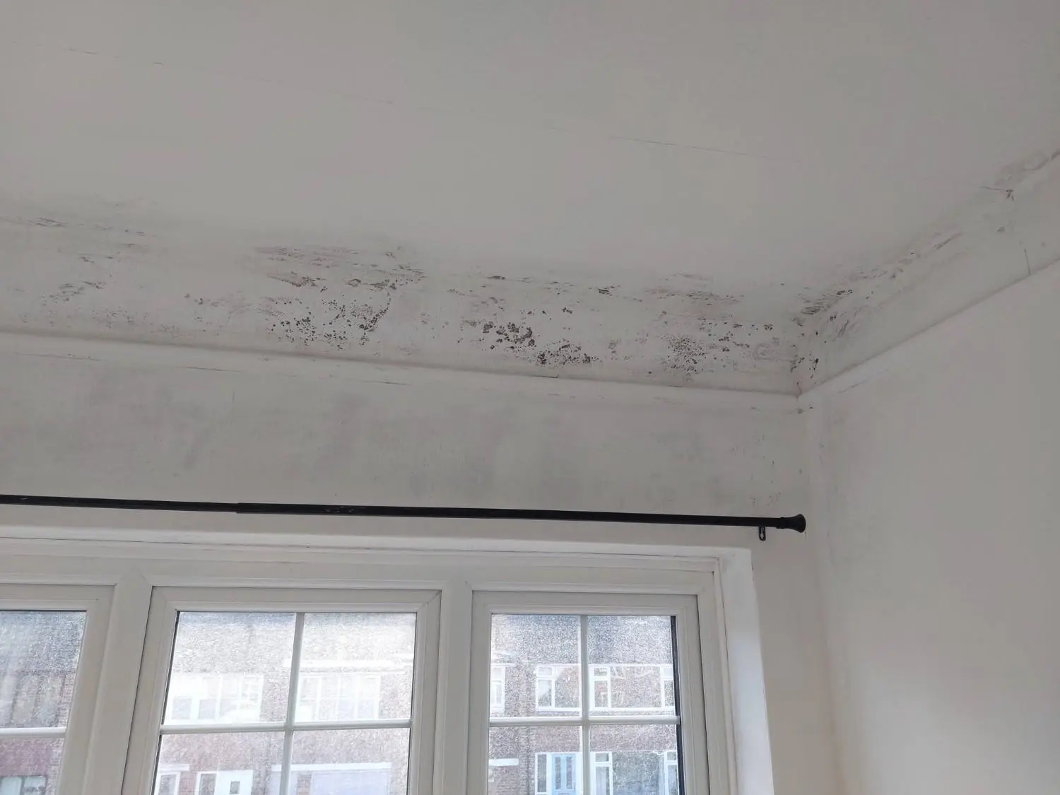 Mold-like spotting around a ceiling and wall above a window before cleanup
