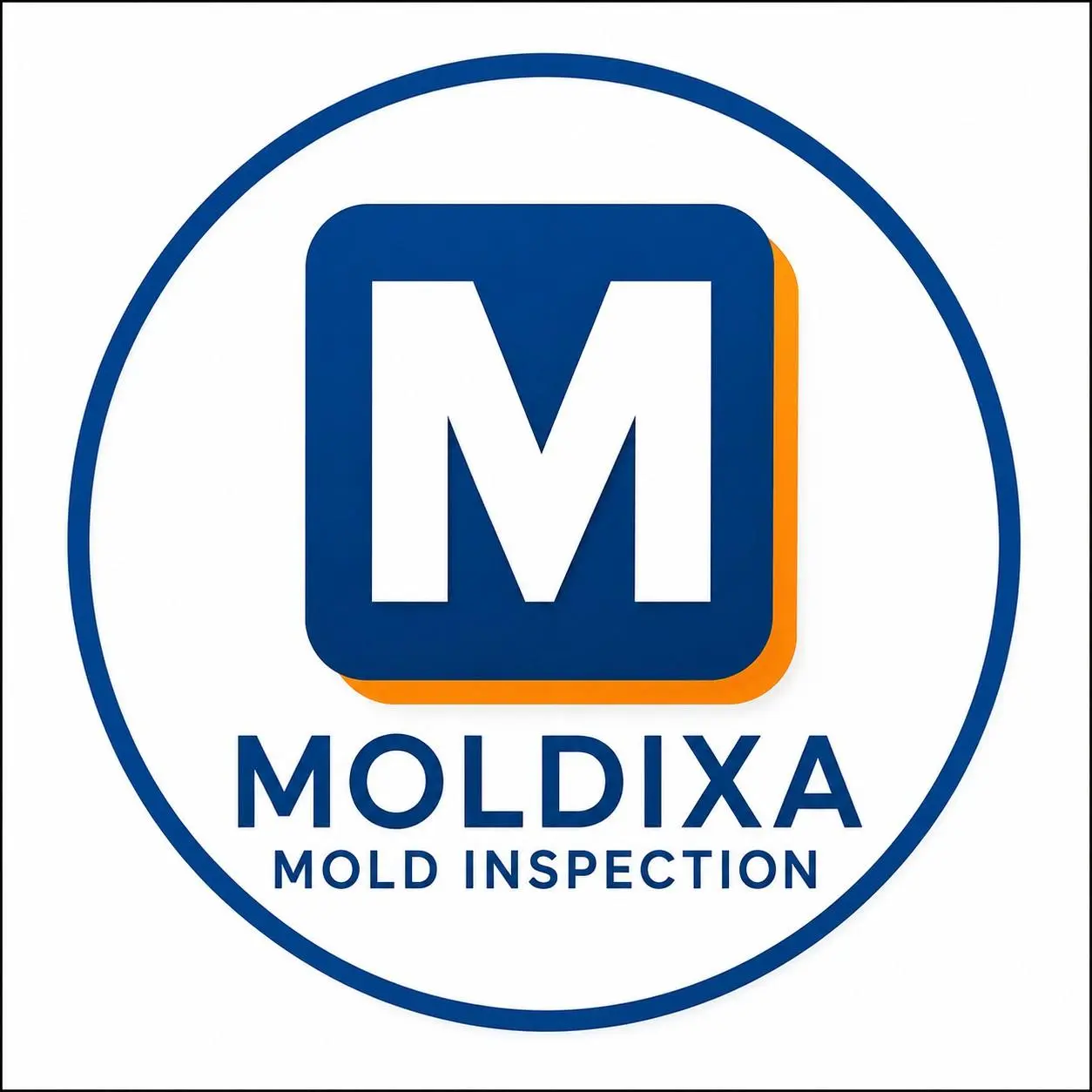 Moldixa Mold Inspection